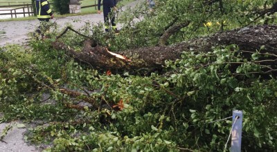 Neuerliche Alarmierung wegen Unwetterfolgen