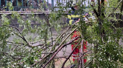 Aufräumarbeiten nach Sturm