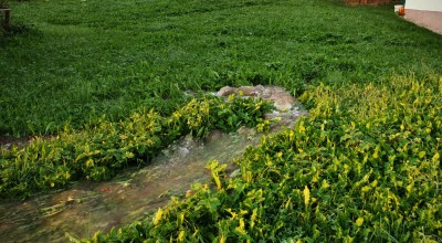 Wasserschaden in der Sickingerstraße