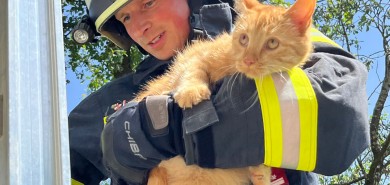 Katze von heißem Dach gerettet