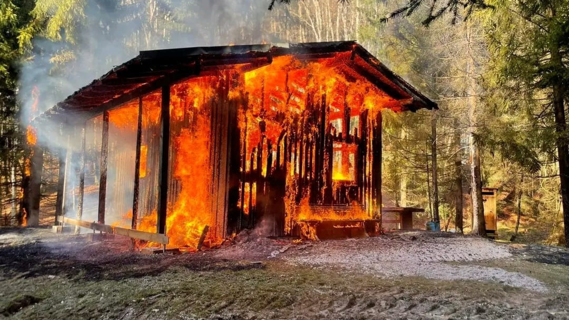 Waldhütte stand im Vollbrand