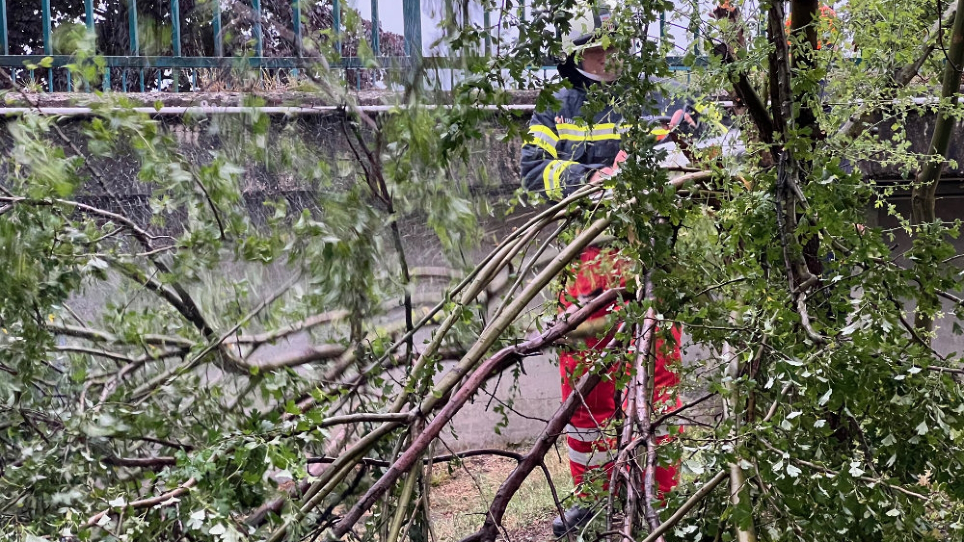 Aufräumarbeiten nach Sturm