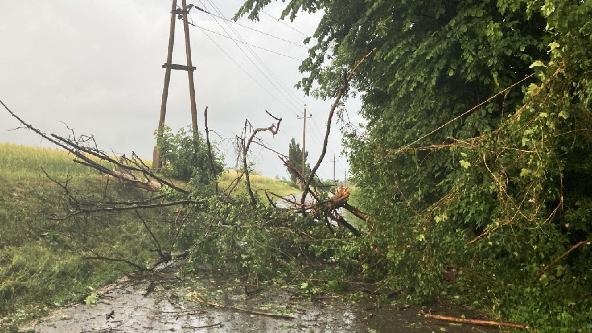Viele Einsätze nach schwerem Unwetter