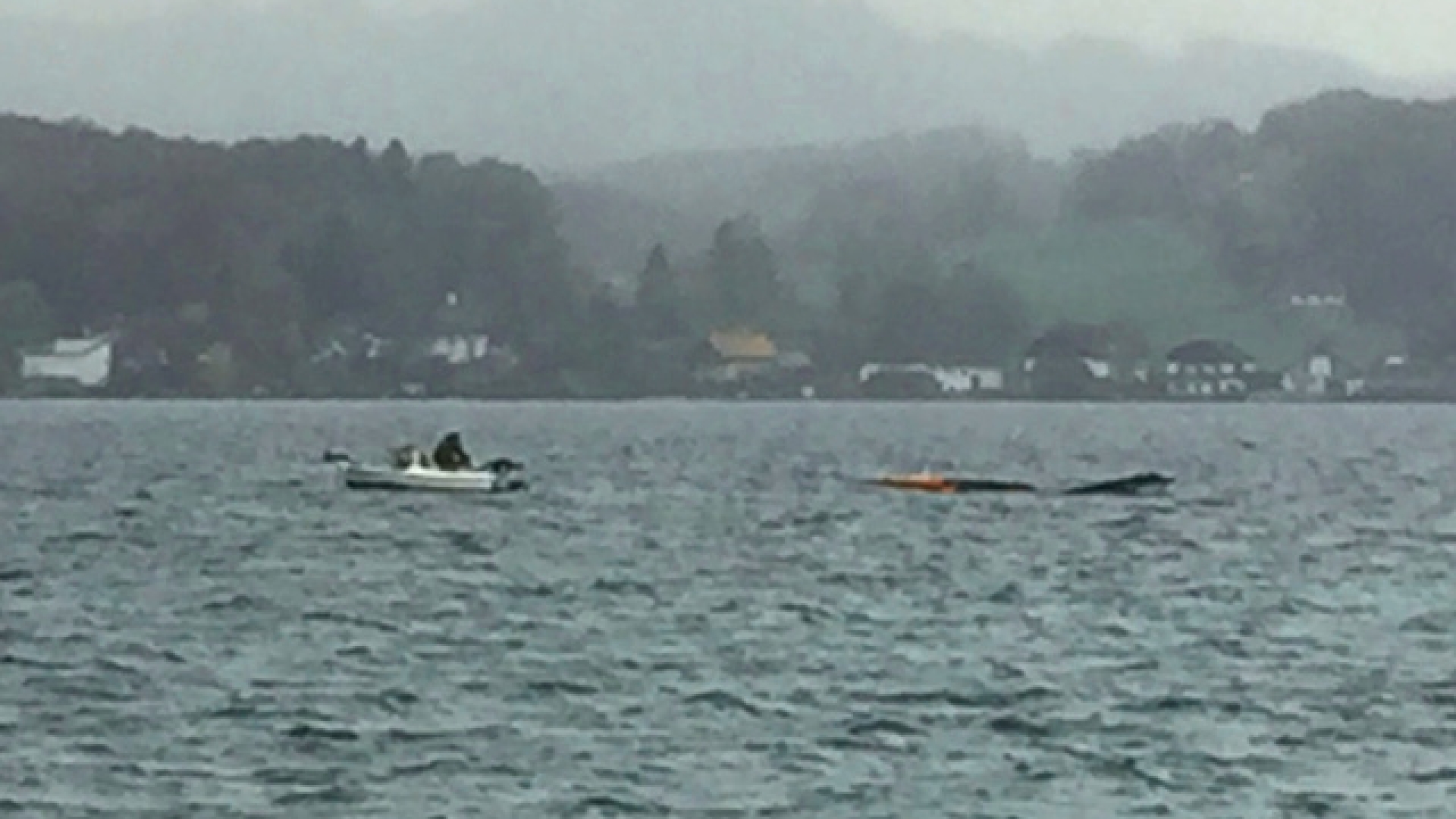 Personenrettung im Attersee