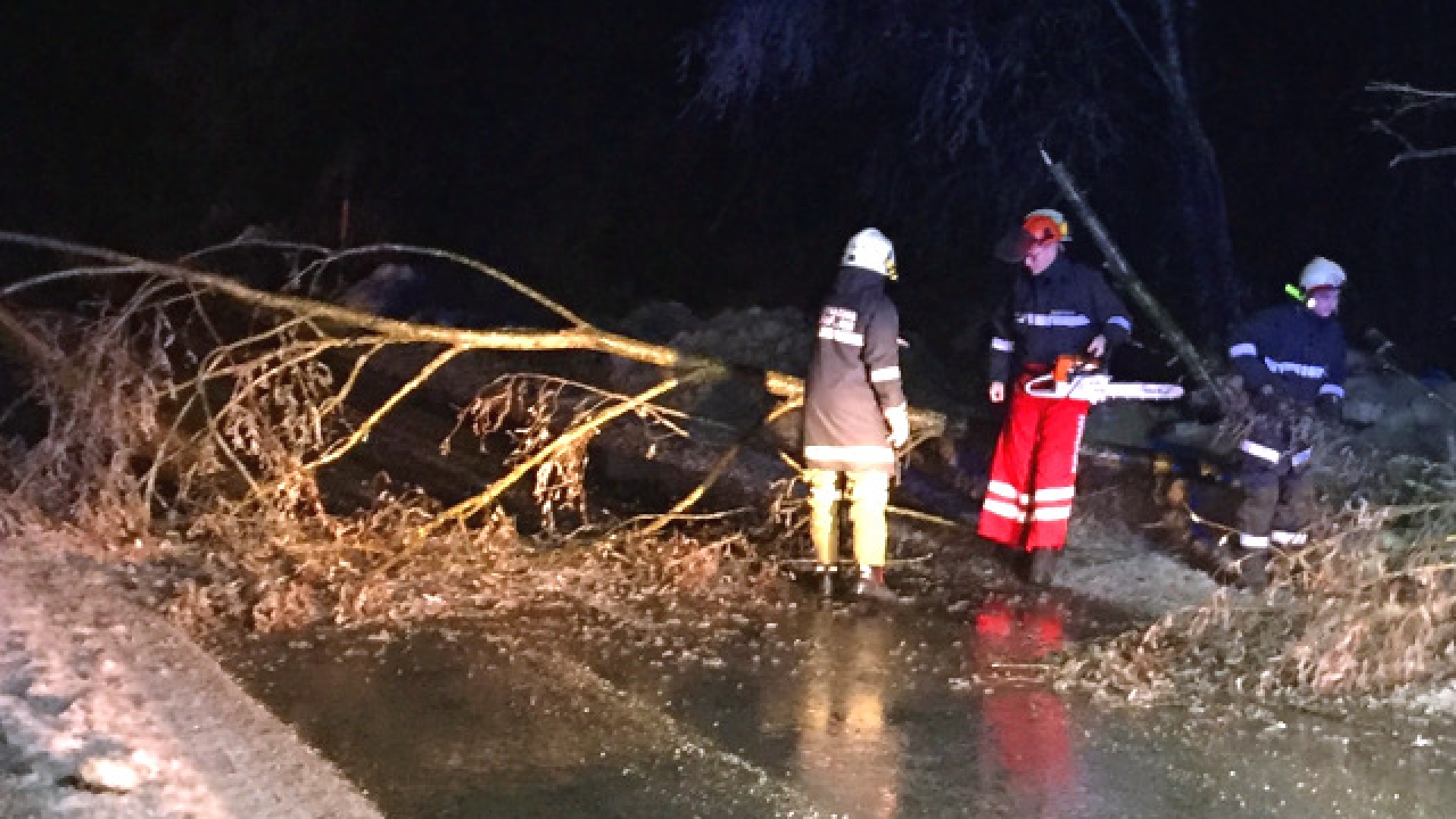 Bäume gaben Eislasten nach