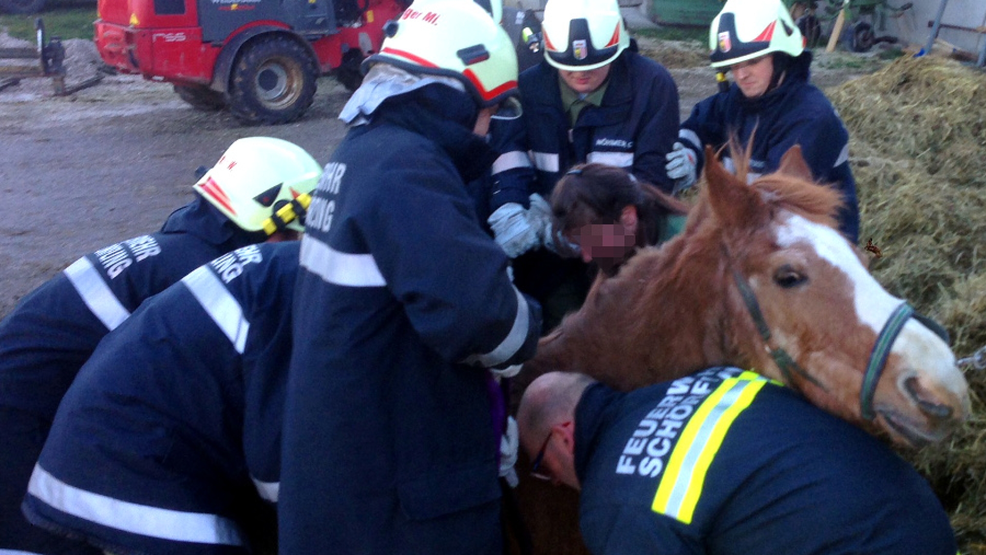 Tierrettung im Reitstall