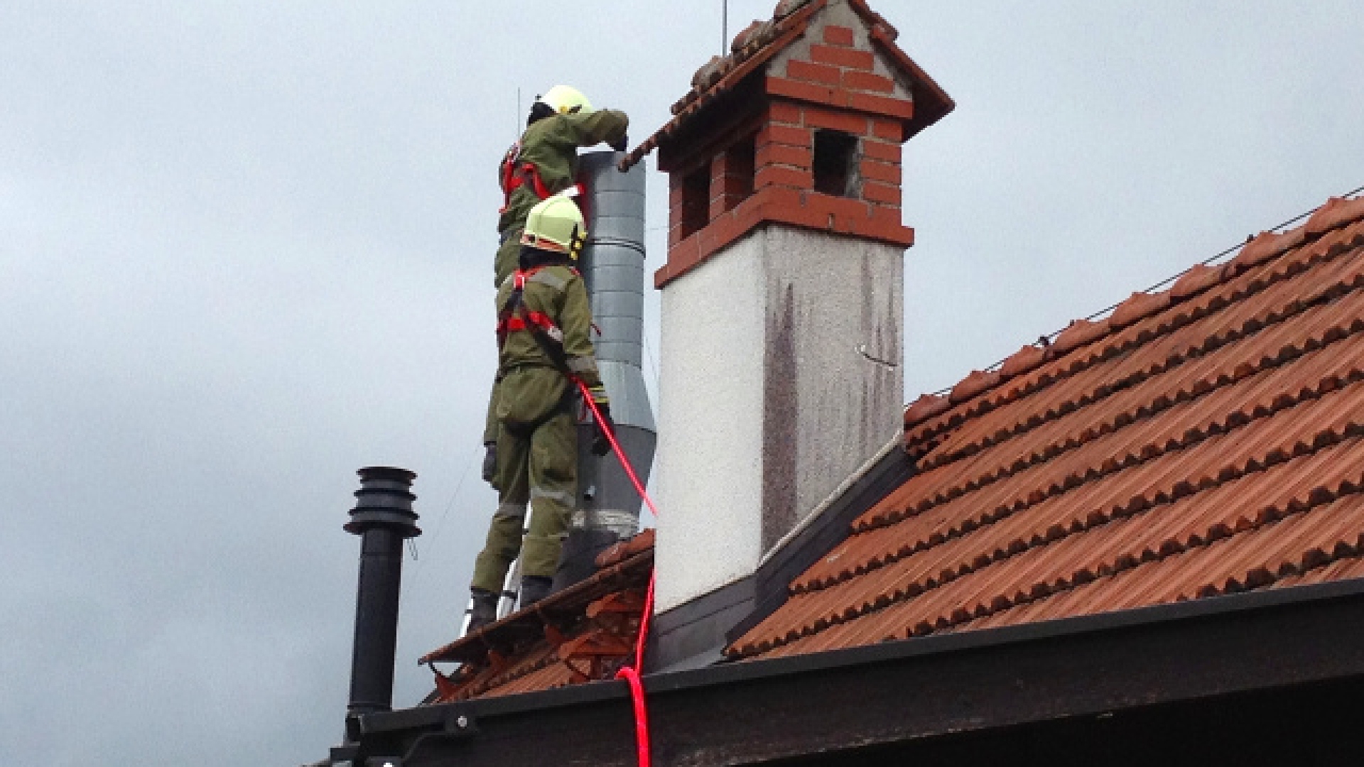 Tierrettung GH Hofwirt