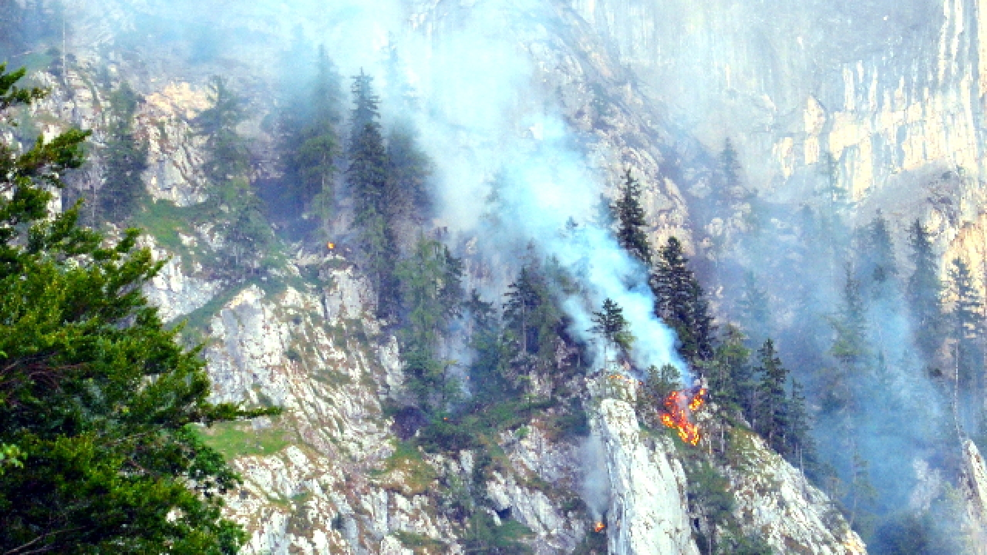 Waldbrand in Steinbach am Attersee