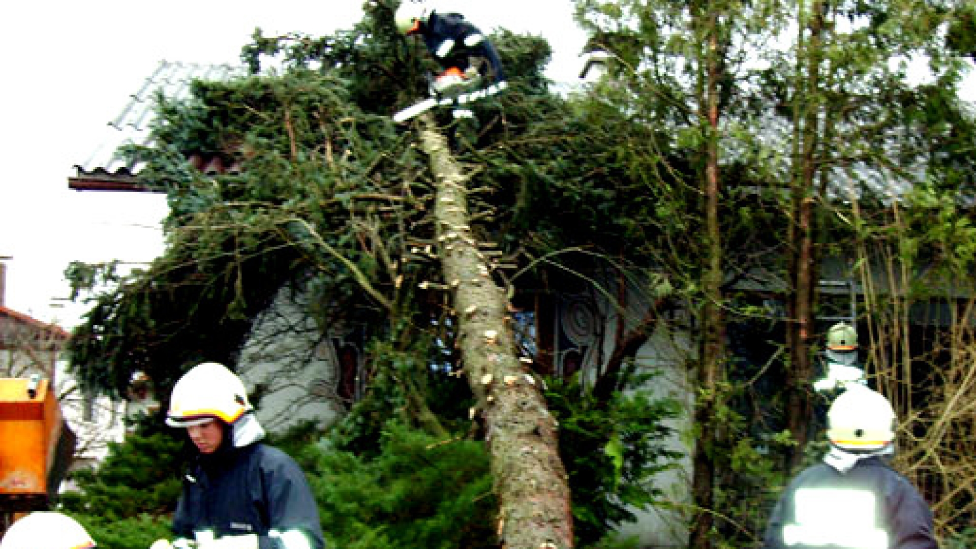 Kyrill - Der Tag danach