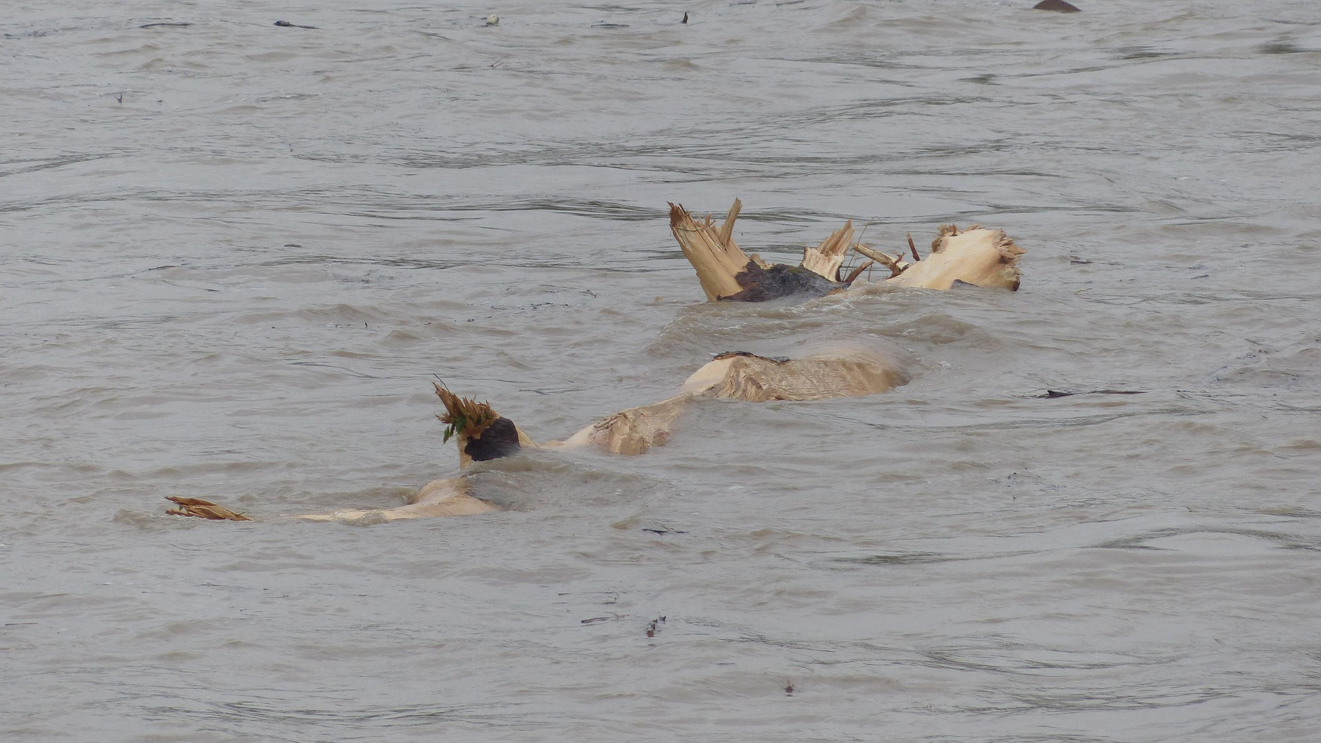 Symbolfoto Hochwasser